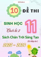 Tuyển tập 10 Đề thi cuối kì 2 năm học 2025-2026 môn Sinh học 11 CTST (Kèm đáp án)